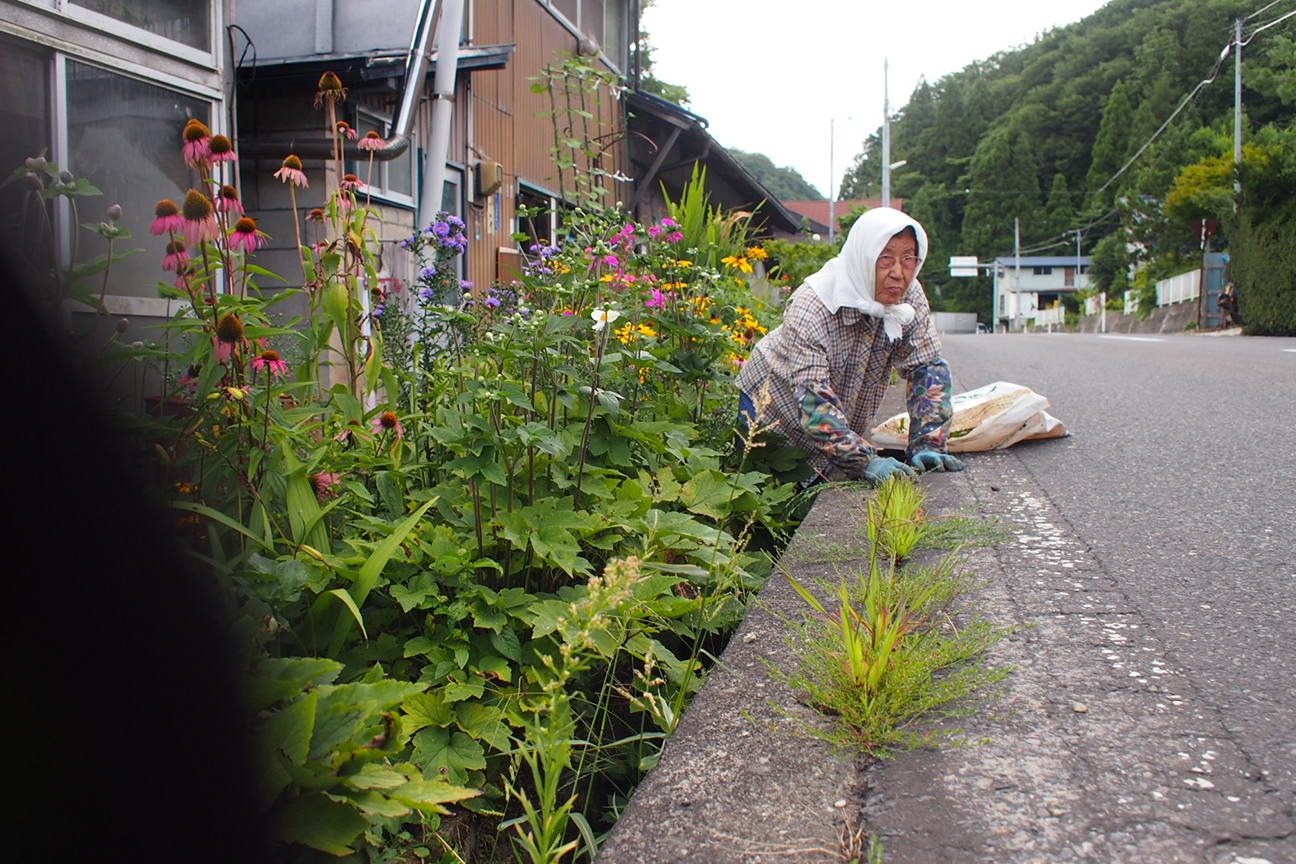 Звездочет, Зона Цунами
