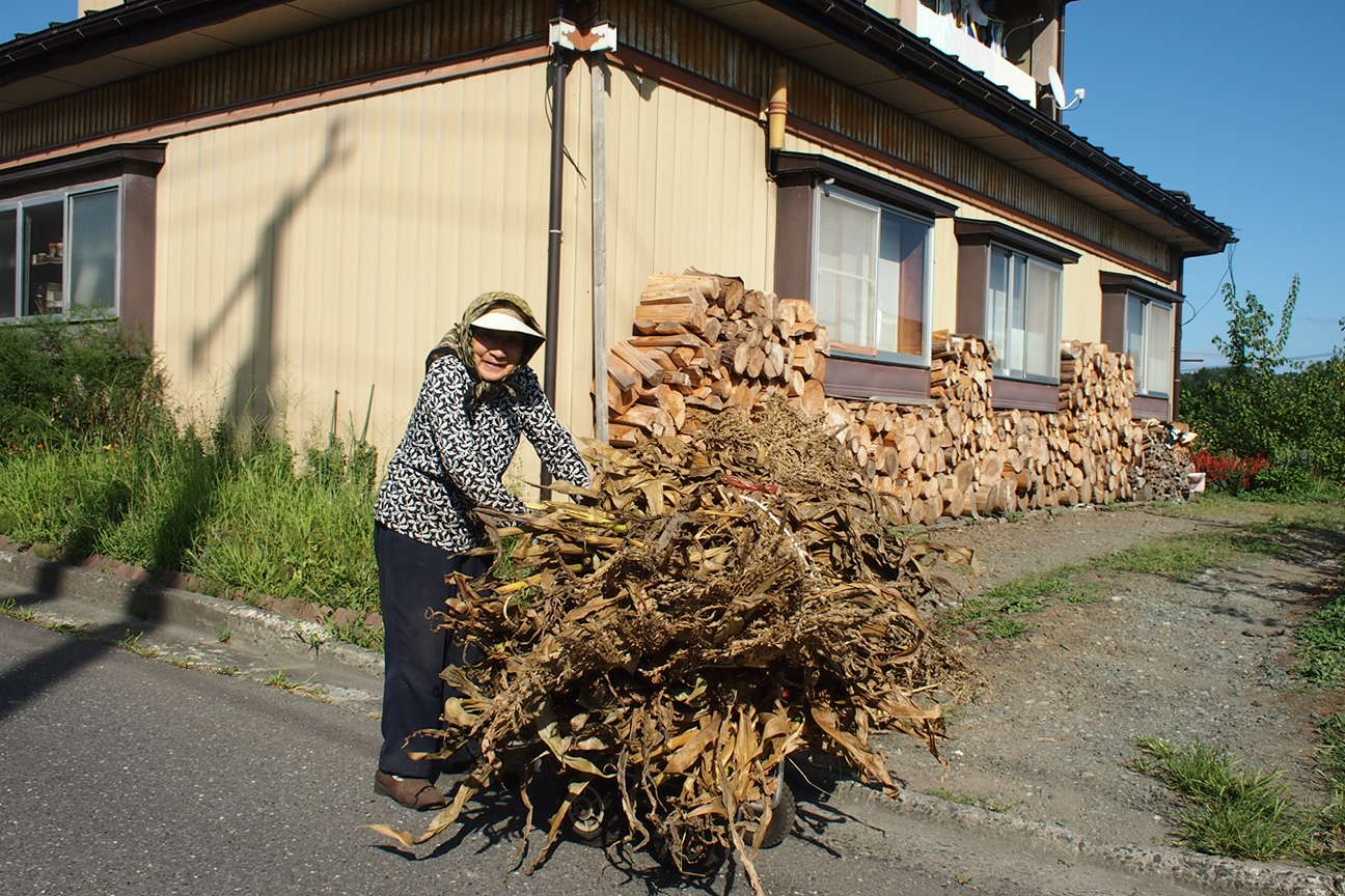 Звездочет, Зона Цунами