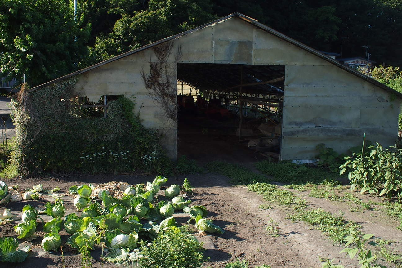 Звездочет, Зона Цунами