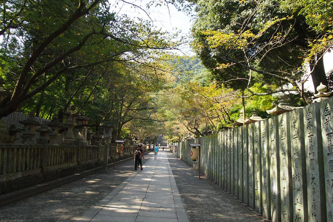 Такаматсу. Келли. Зеленый светофор