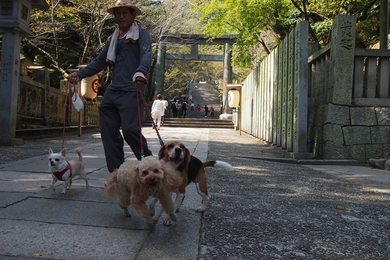 Такаматсу. Келли. Зеленый светофор