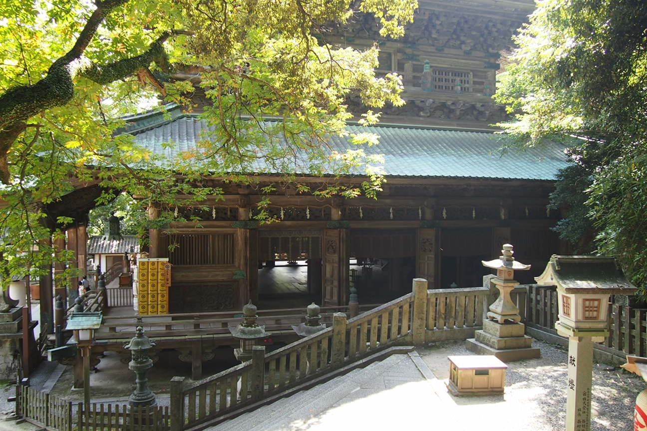 Такаматсу. Келли. Зеленый светофор