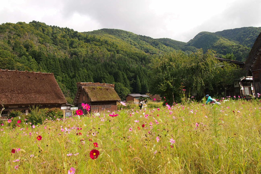 Из Такаямы в Гифу