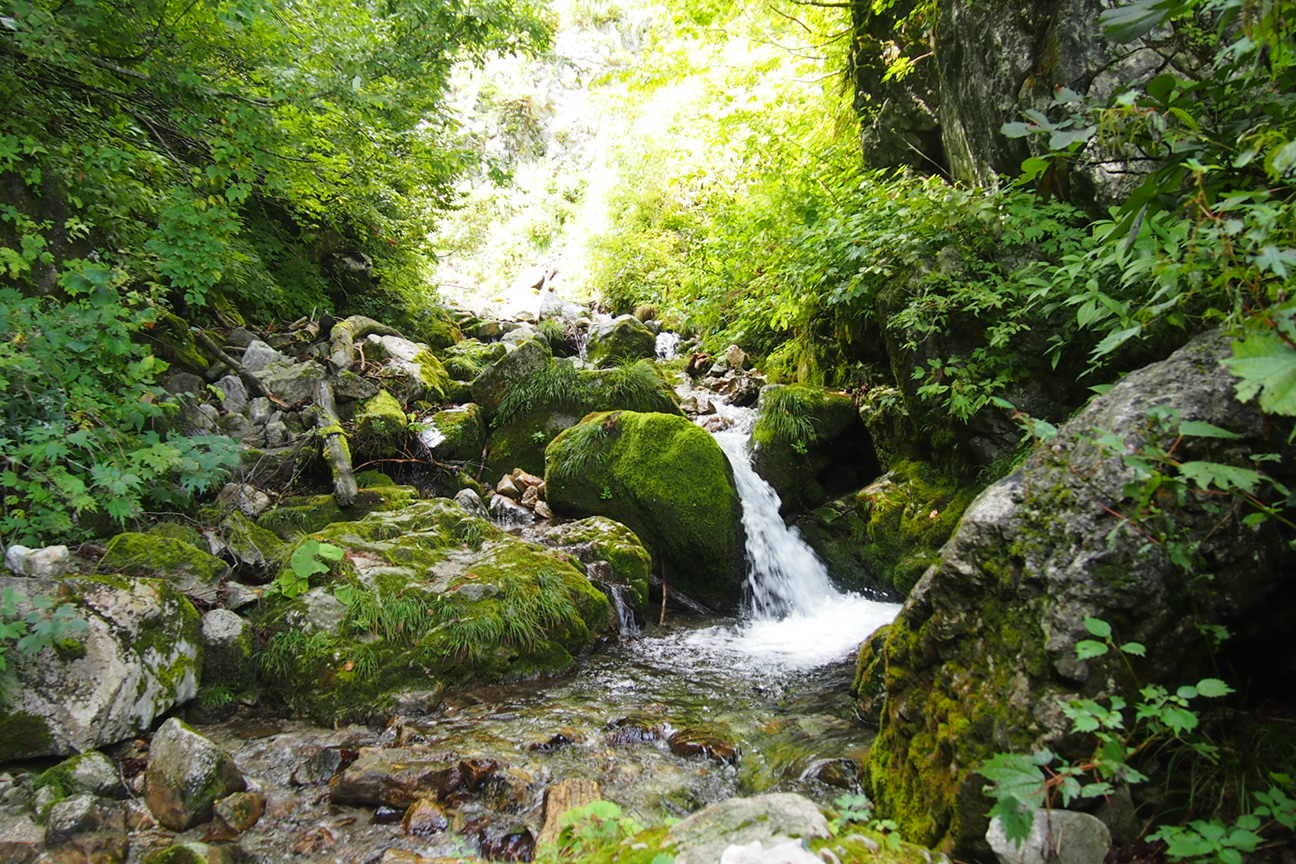 Из Такаямы в Гифу