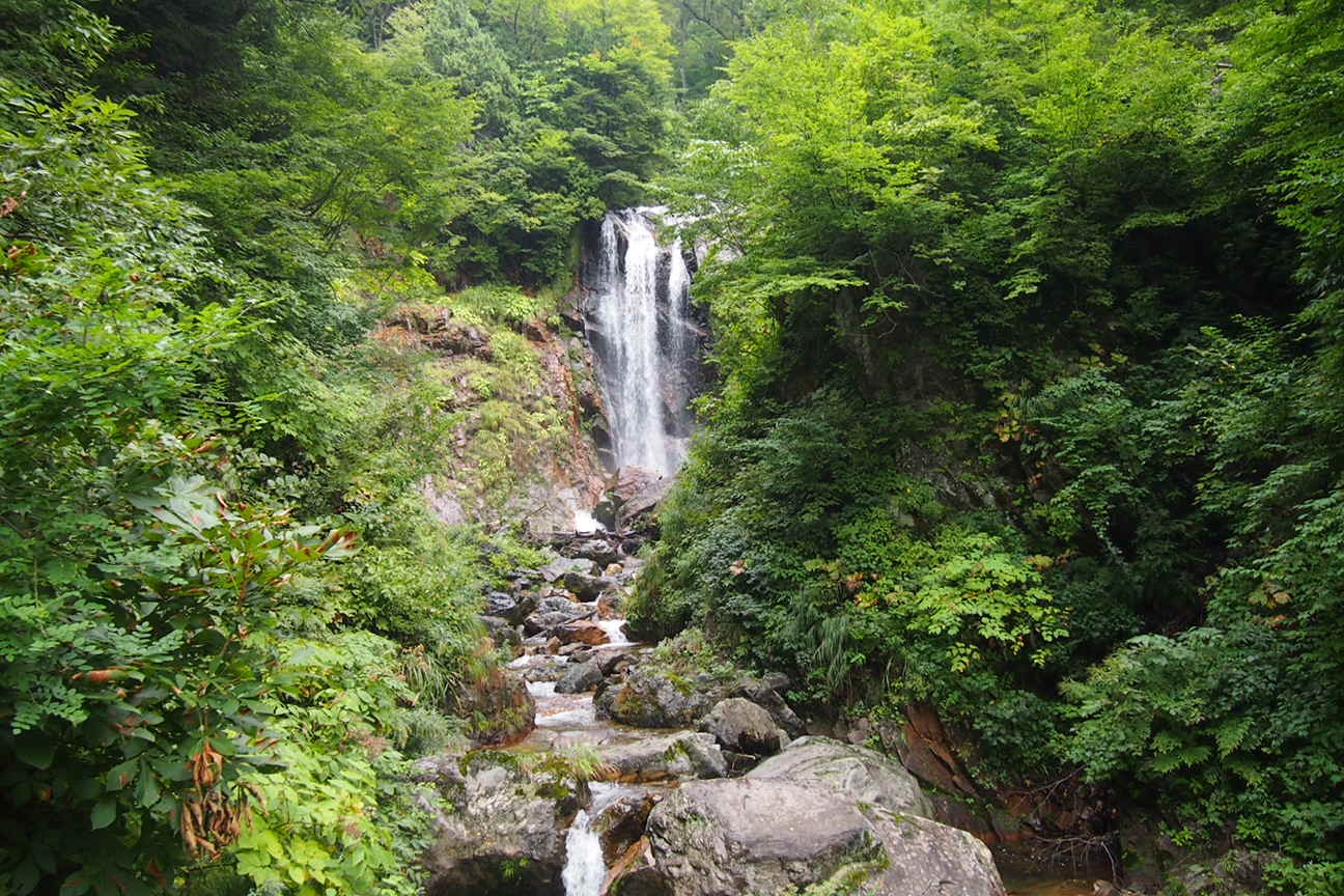 Из Такаямы в Гифу