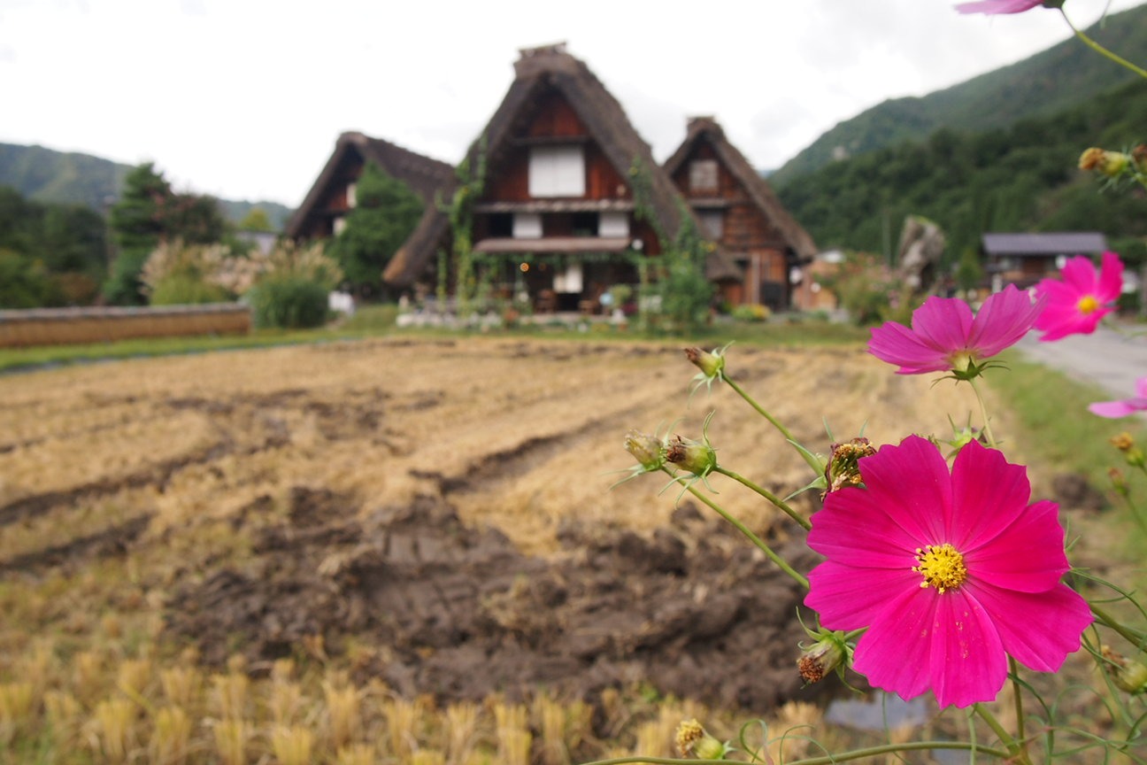 Из Такаямы в Гифу