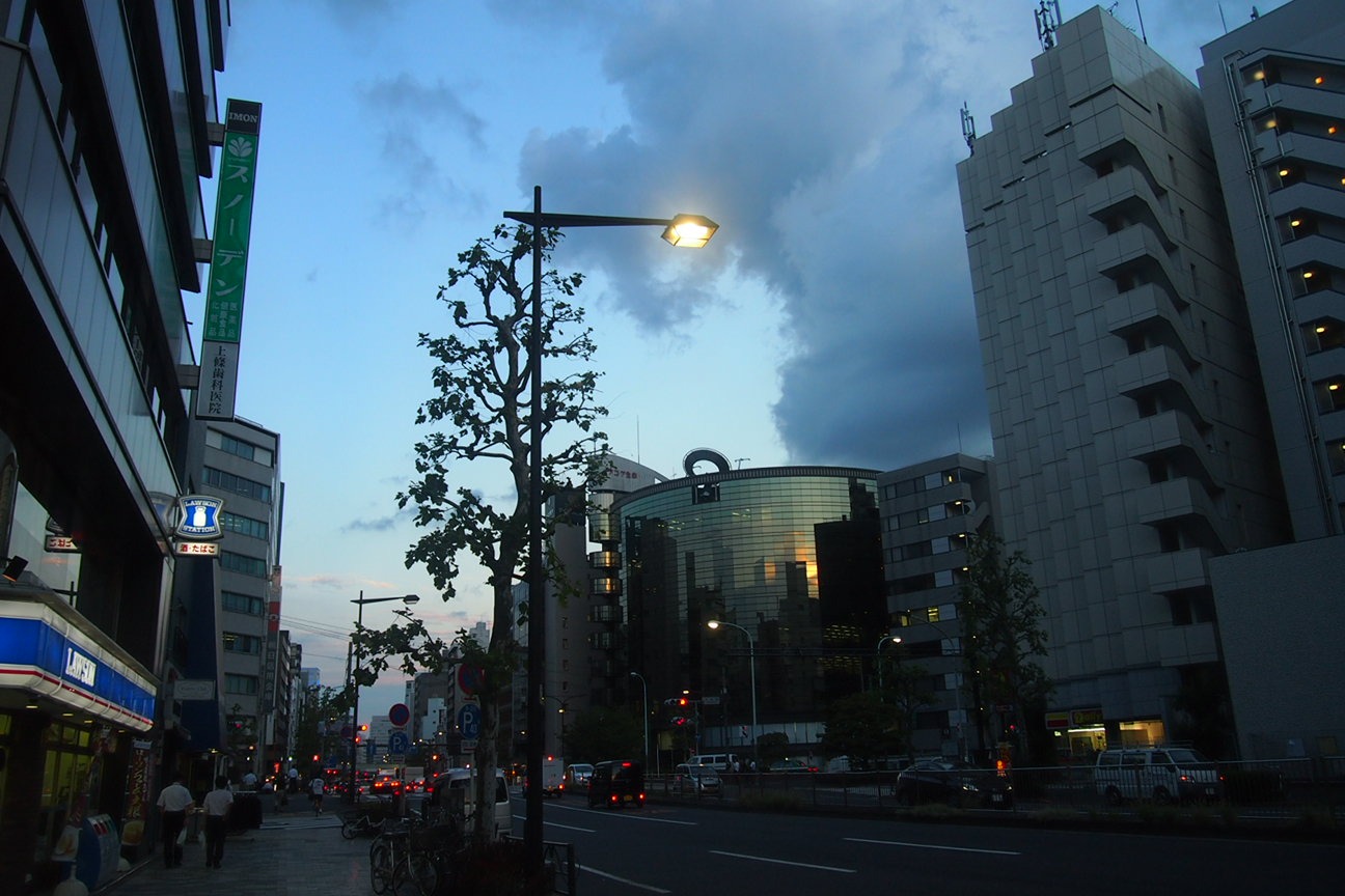 Встречи в Токио