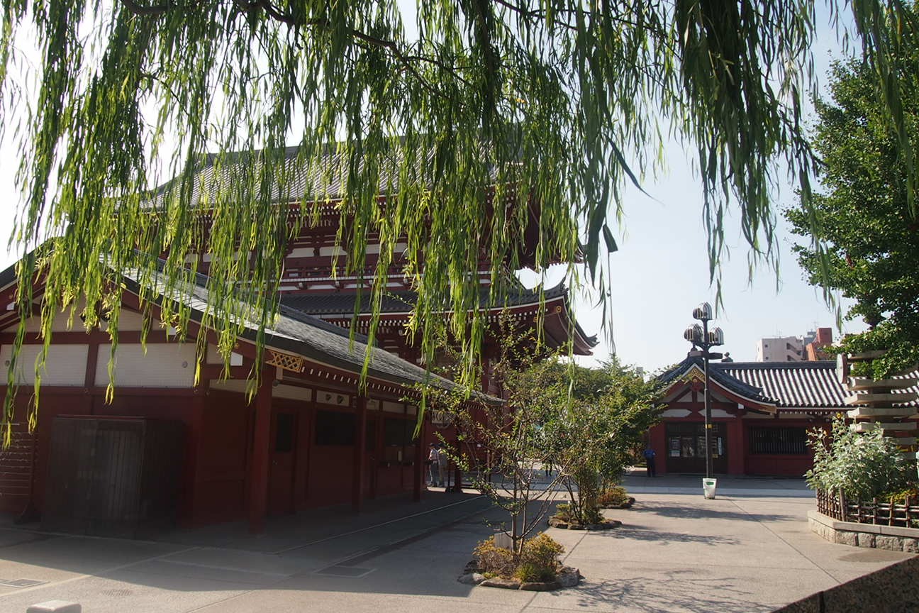 Встречи в Токио