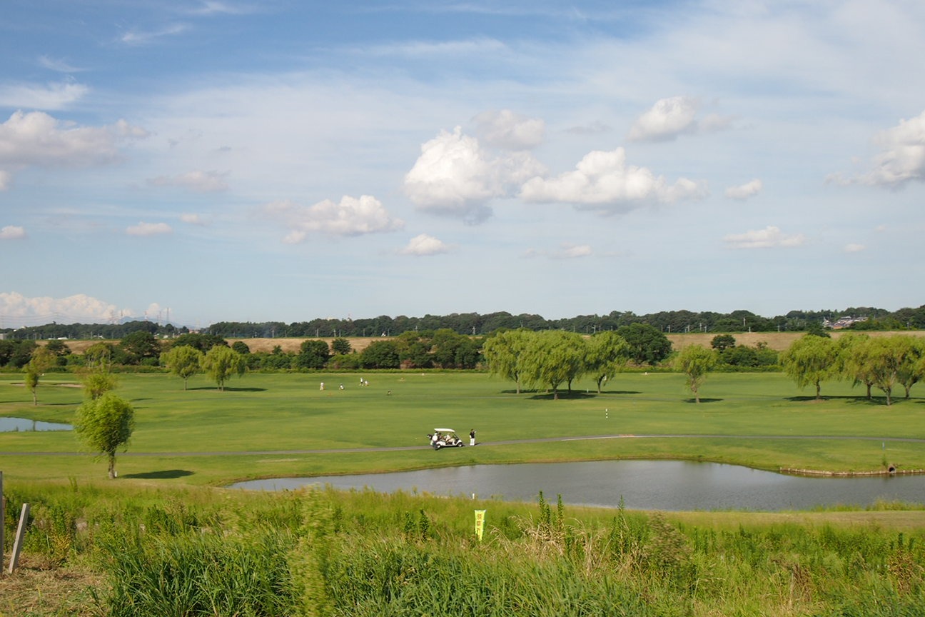 Встречи в Токио