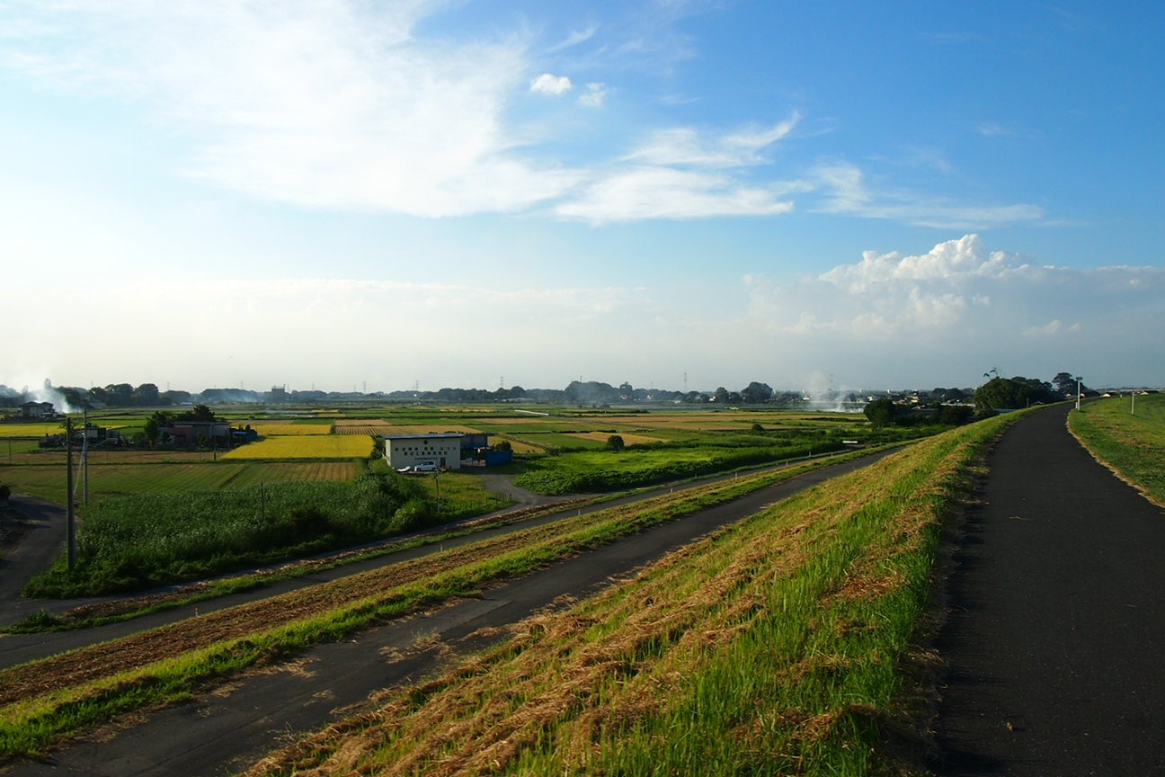 Встречи в Токио