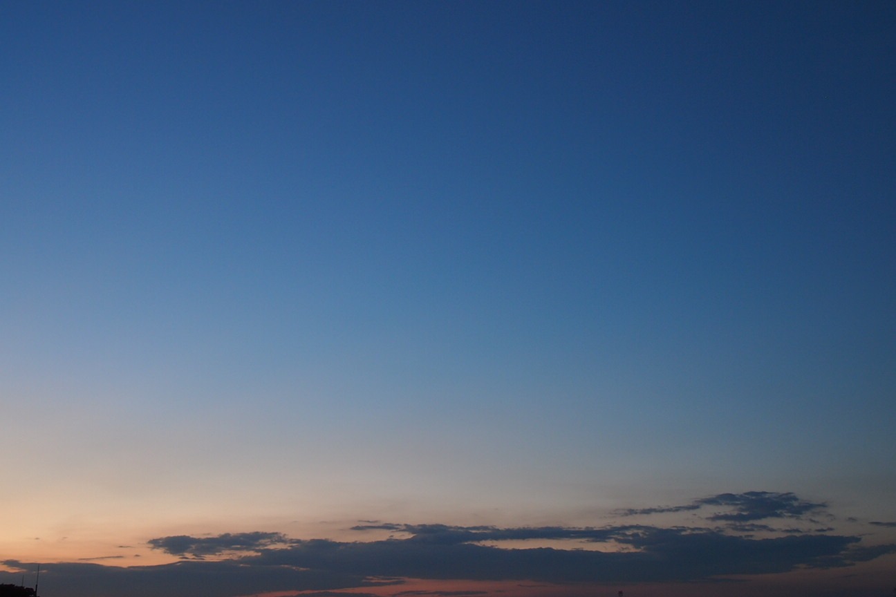 Встречи в Токио