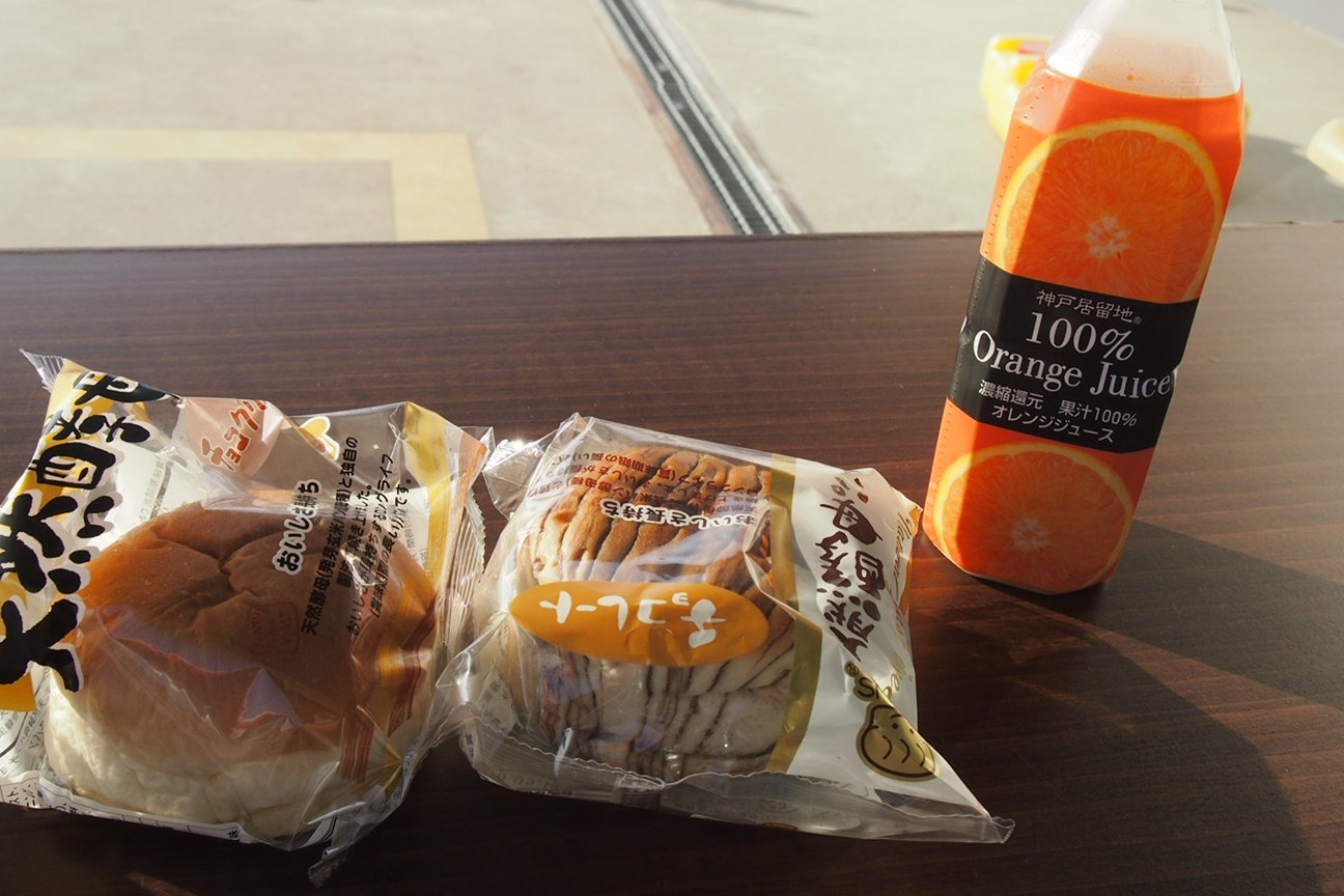 Еще один день. Из Токио в Никко