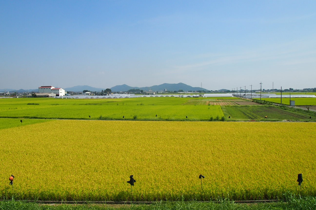 Еще один день. Из Токио в Никко