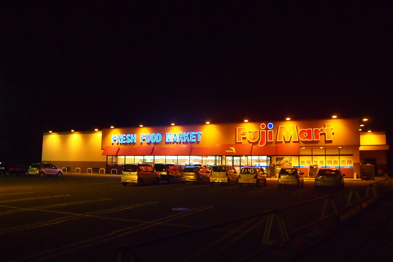 Еще один день. Из Токио в Никко