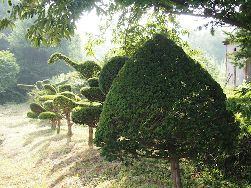 Тойа и Тойко — последние дни на Хоккайдо