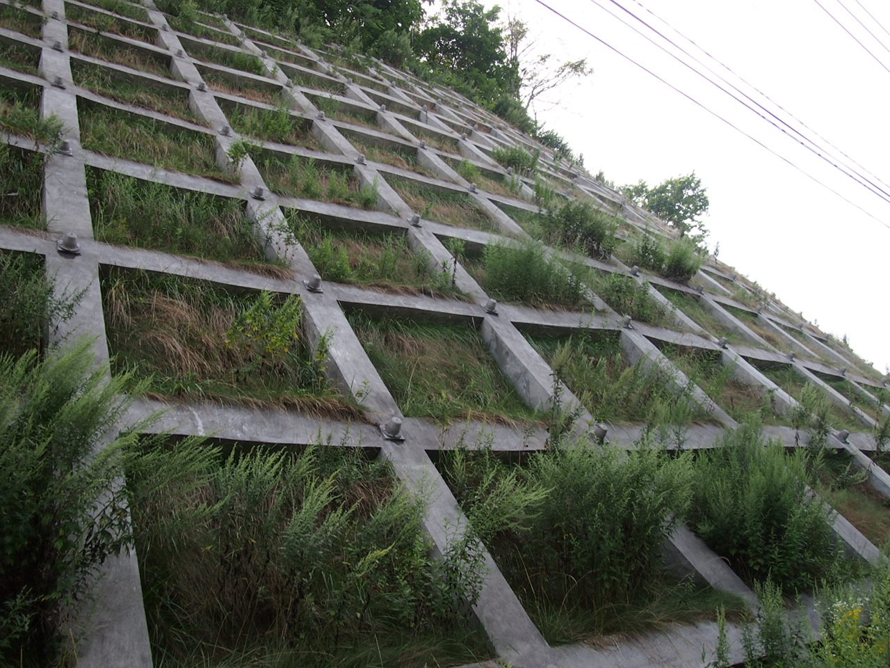 Тойа и Тойко — последние дни на Хоккайдо