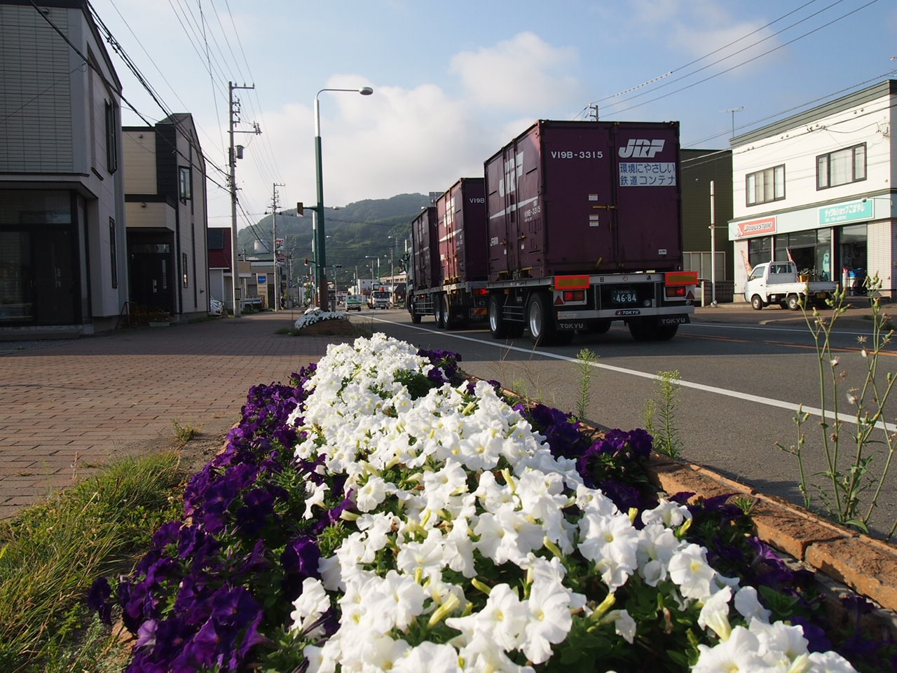 Тойа и Тойко — последние дни на Хоккайдо