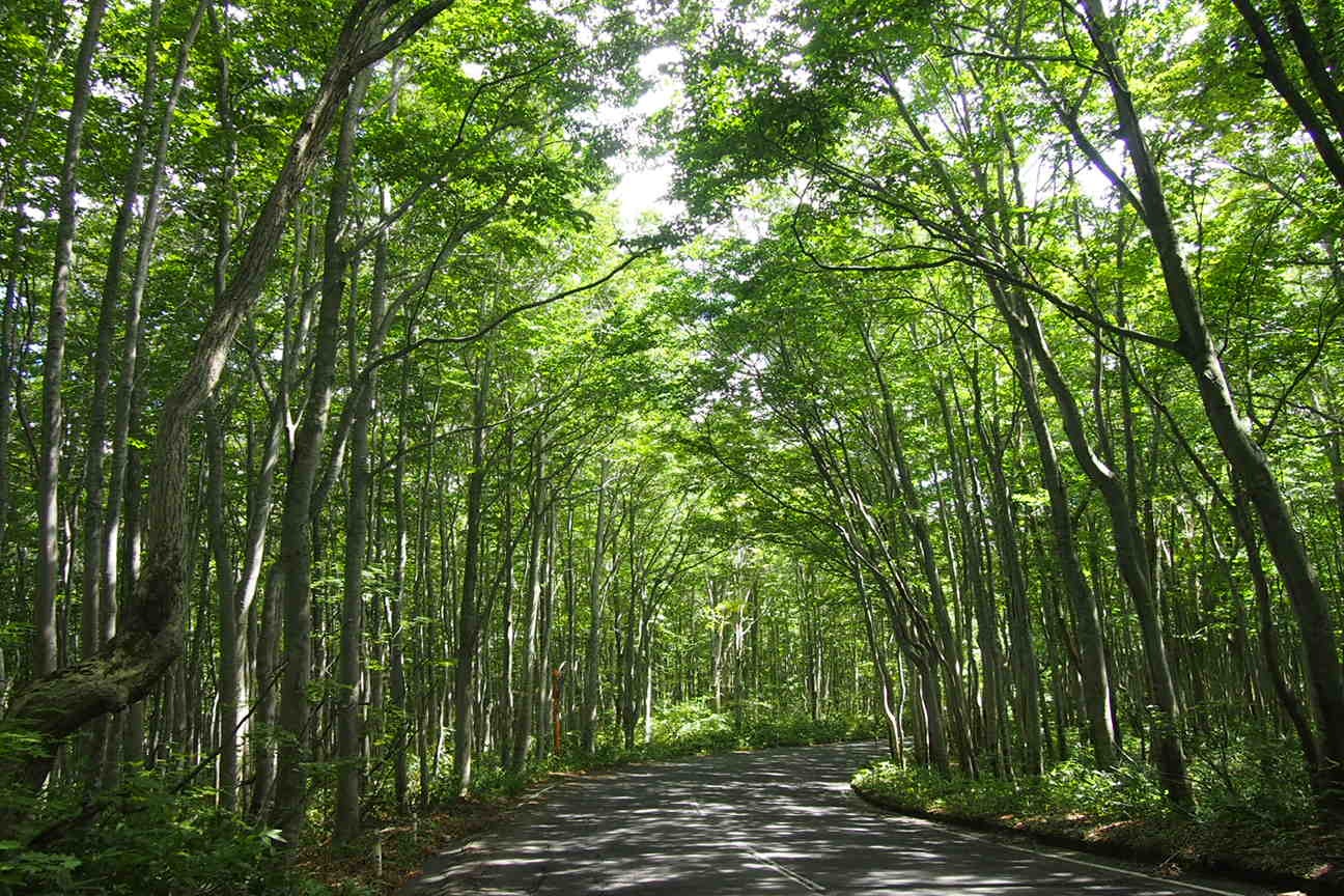 Онсен унисекс, Озеро Товада и морской пехотинец Майк
