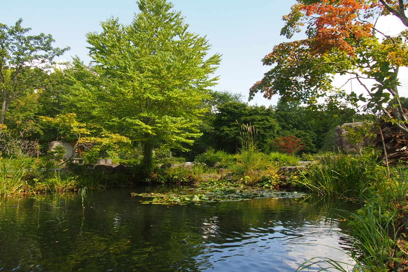 Онсен унисекс, Озеро Товада и морской пехотинец Майк