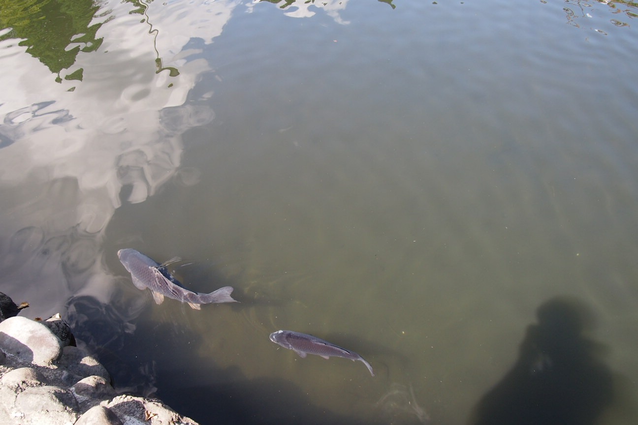 Онсен унисекс, Озеро Товада и морской пехотинец Майк