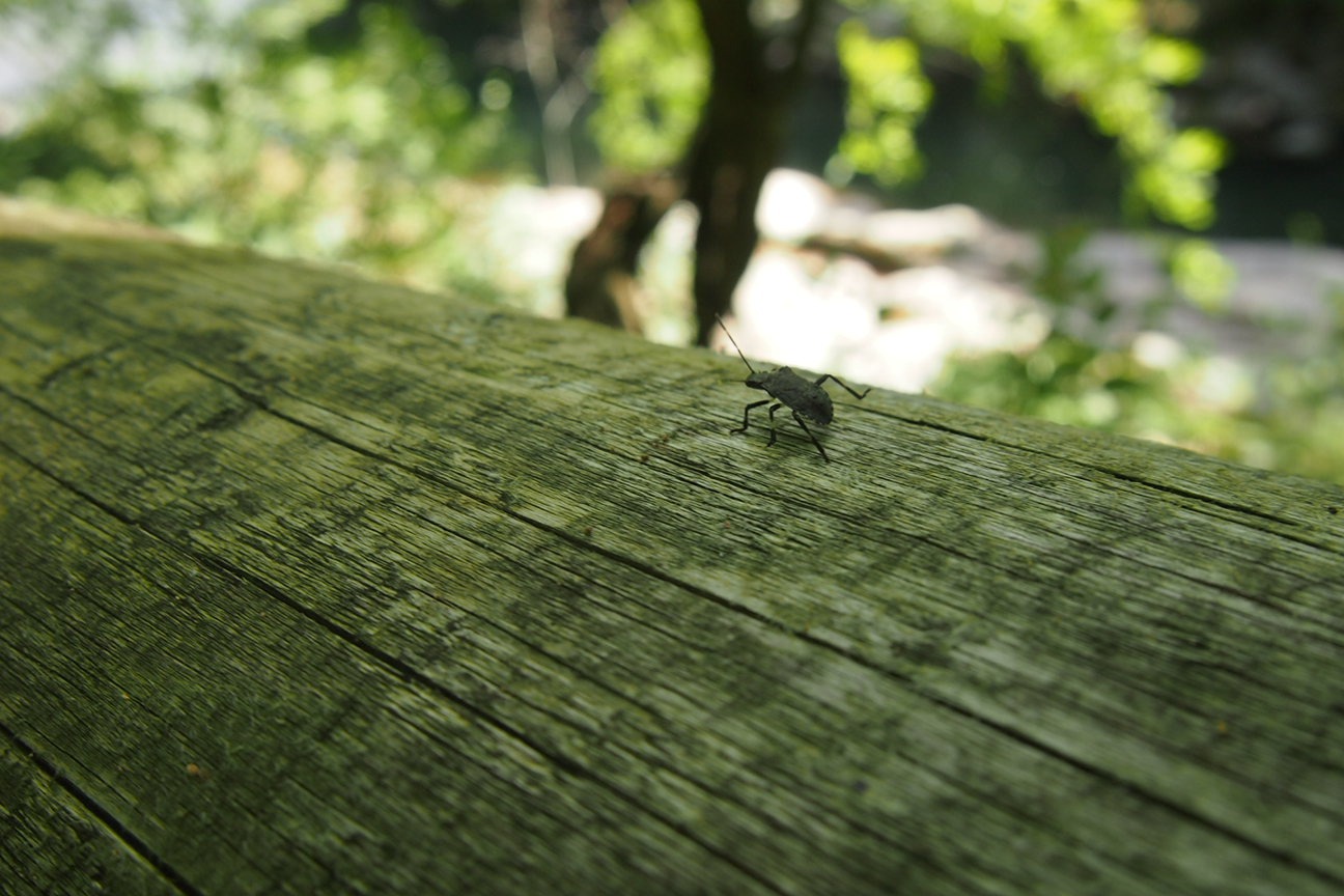 Онсен унисекс, Озеро Товада и морской пехотинец Майк
