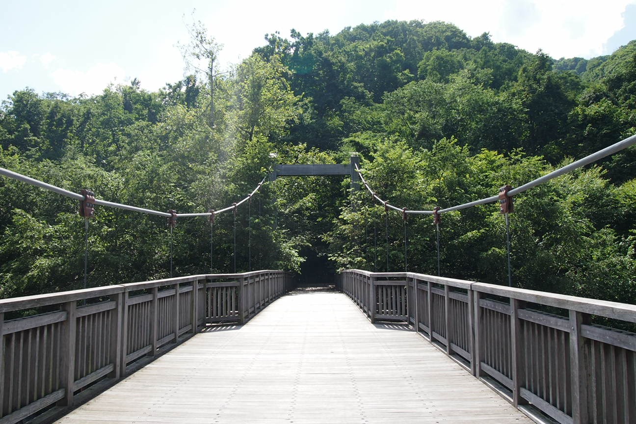 Онсен унисекс, Озеро Товада и морской пехотинец Майк