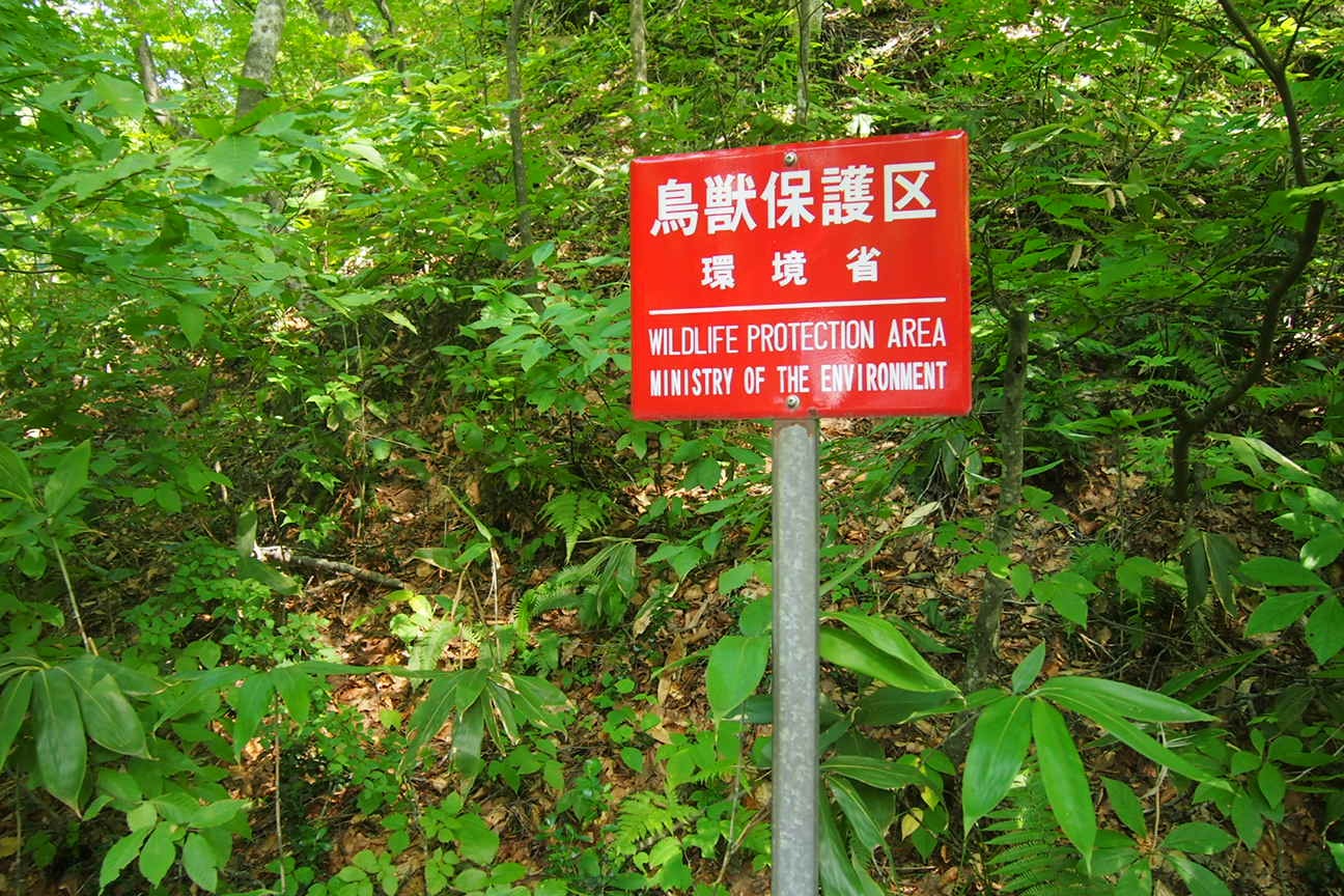 Онсен унисекс, Озеро Товада и морской пехотинец Майк