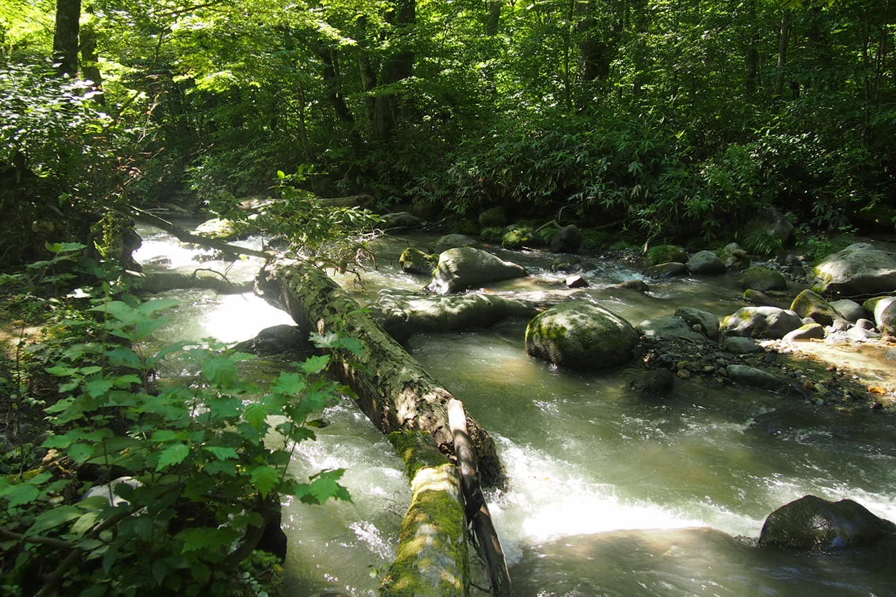 Онсен унисекс, Озеро Товада и морской пехотинец Майк