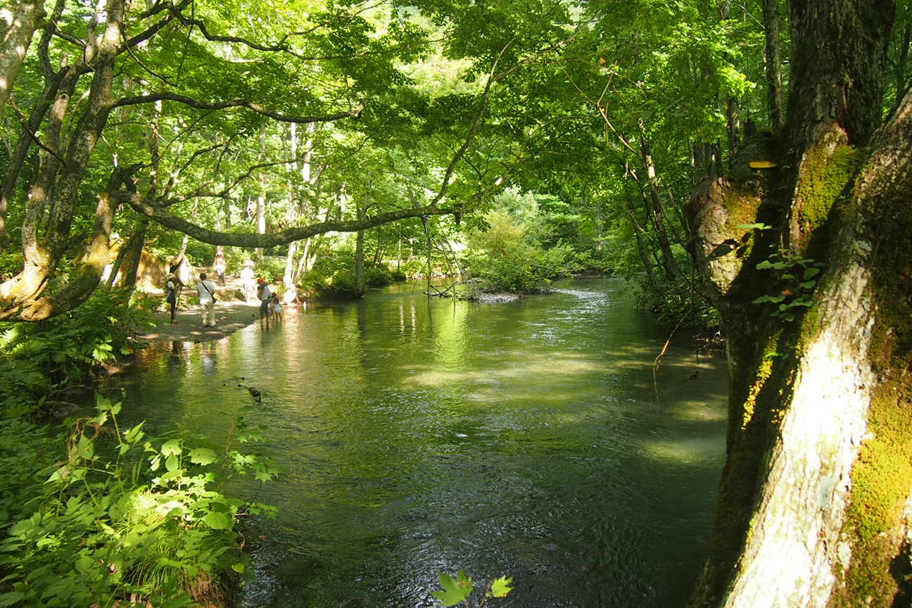 Онсен унисекс, Озеро Товада и морской пехотинец Майк