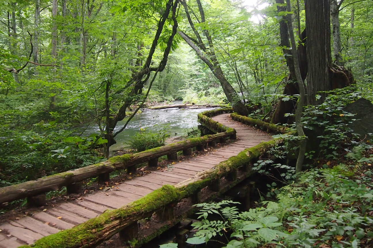 Онсен унисекс, Озеро Товада и морской пехотинец Майк
