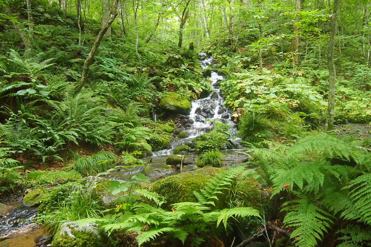 Онсен унисекс, Озеро Товада и морской пехотинец Майк