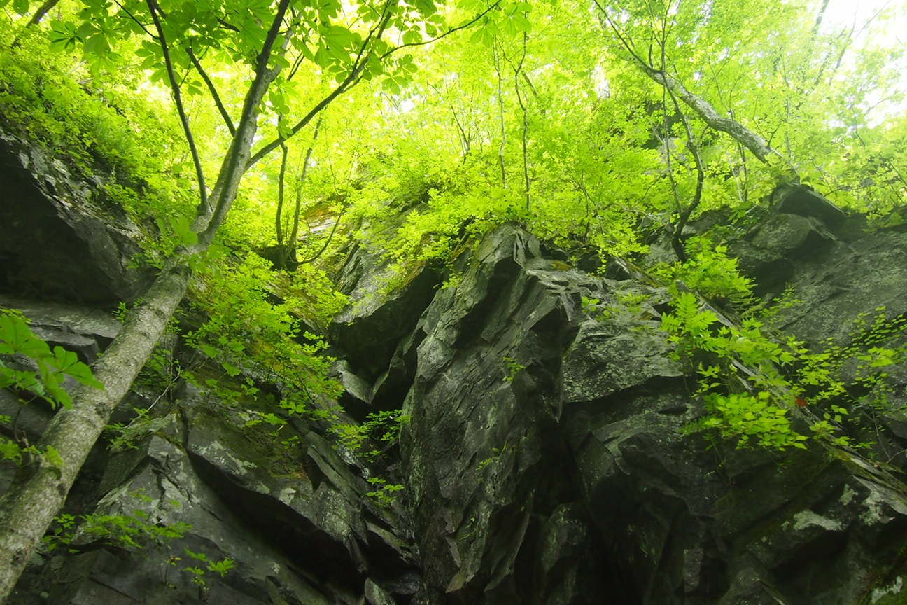 Онсен унисекс, Озеро Товада и морской пехотинец Майк