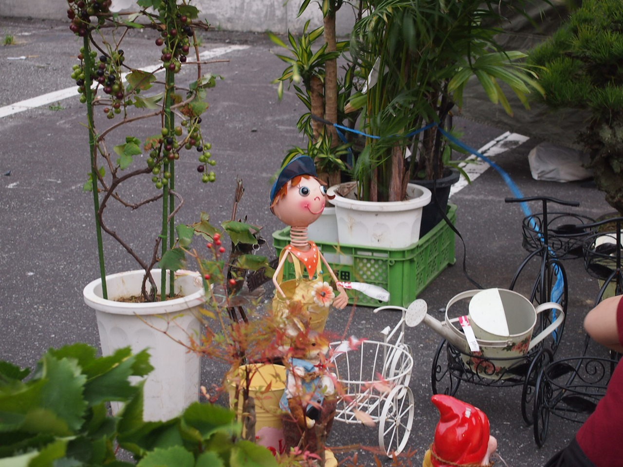 Вакканай — это порт и ярмарка