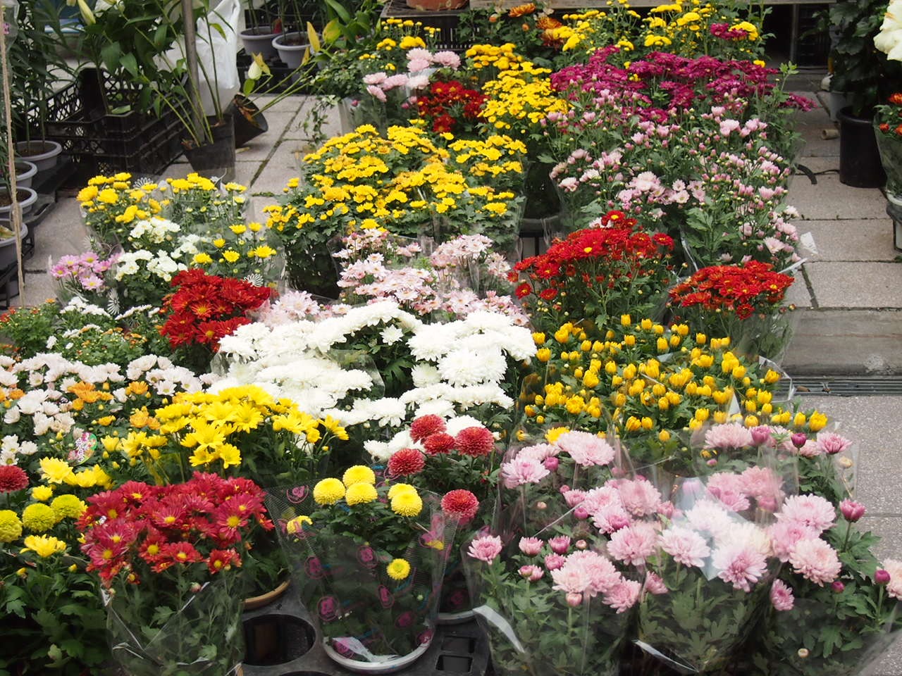 Вакканай — это порт и ярмарка