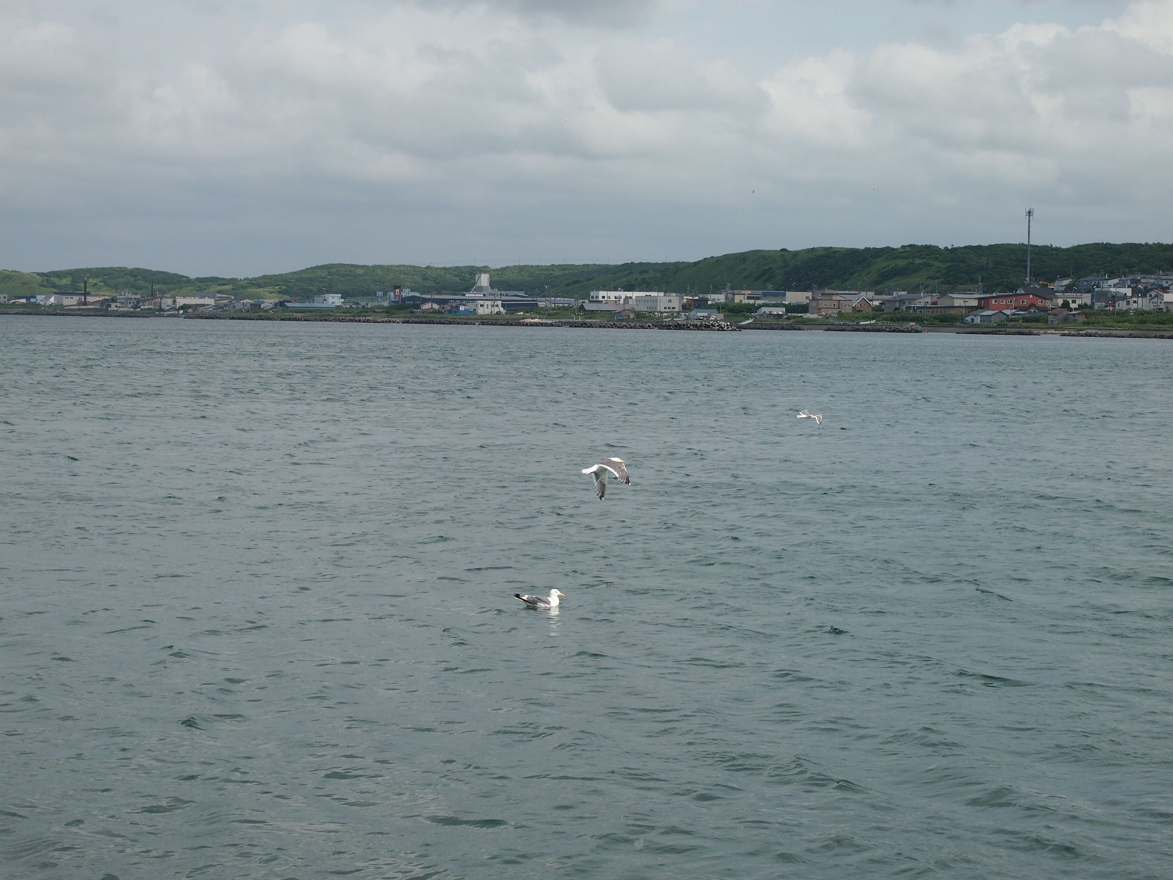 Вакканай — это порт и ярмарка